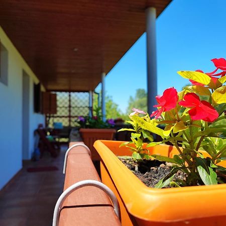 Apartman Dunav Aljmas Bagian luar foto