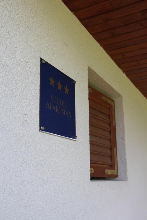 Apartman Dunav Aljmas Bagian luar foto