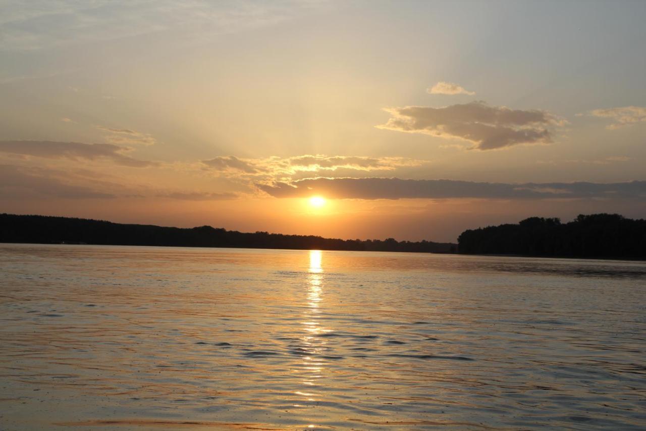 Apartman Dunav Aljmas Bagian luar foto