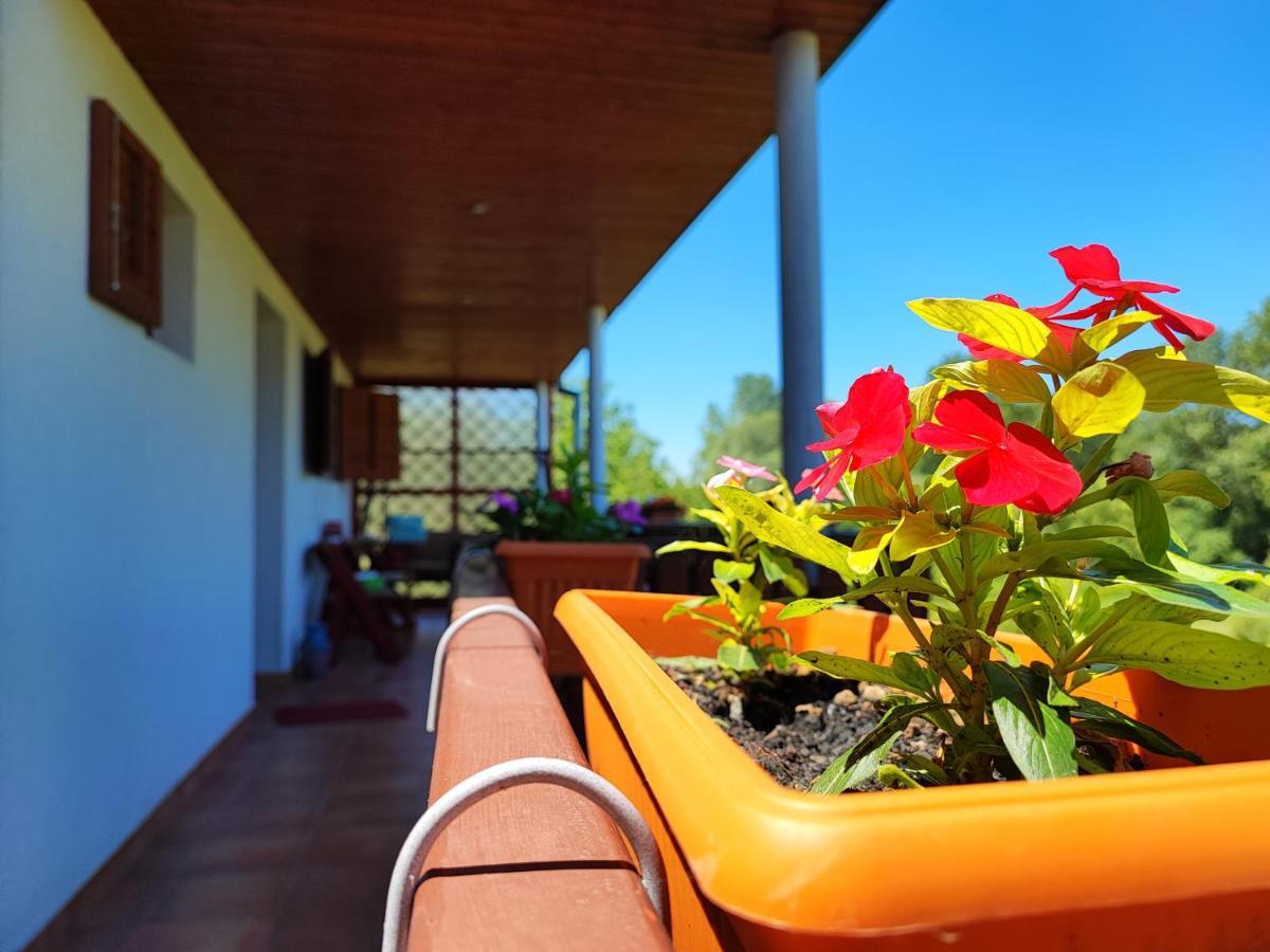 Apartman Dunav Aljmas Bagian luar foto